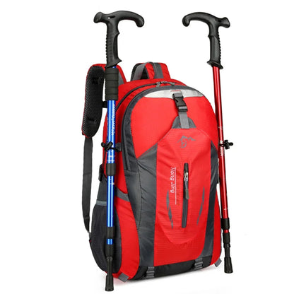 Everyday Backpack - Multipurpose